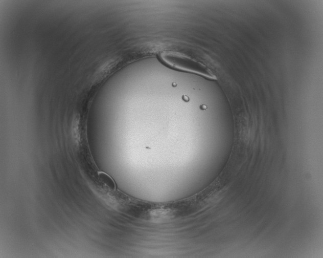 X0000054390216200508121641