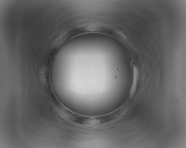 X0000054390217200508121641