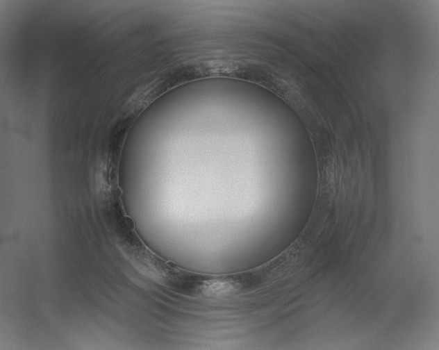 X0000054390218200508121641