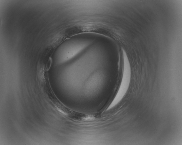 X0000054390219200508121641