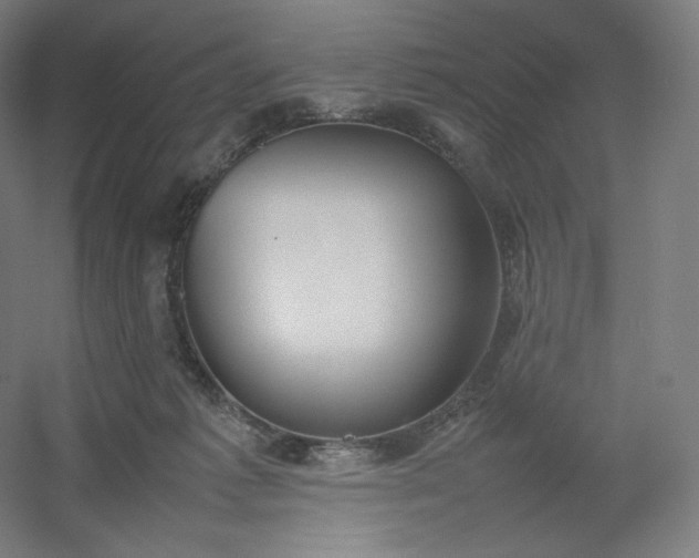 X0000054390221200508121641