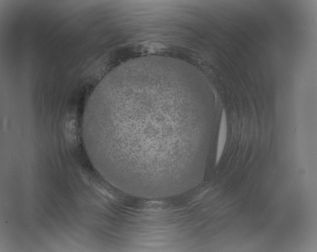 X0000054390222200508121641