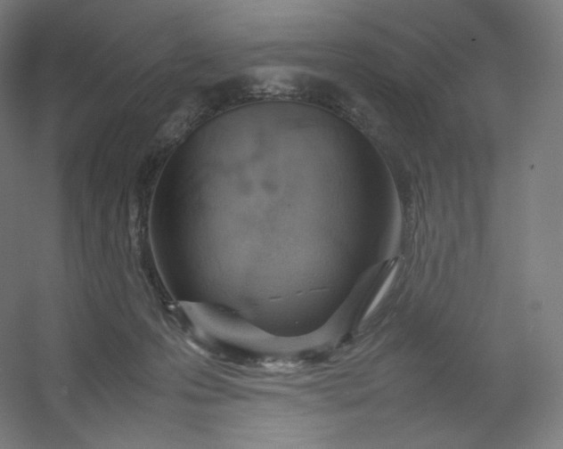 X0000054390223200508121641