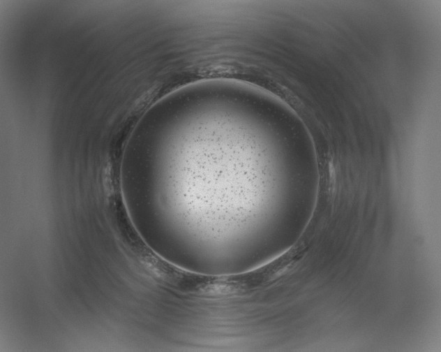 X0000054390224200508121641