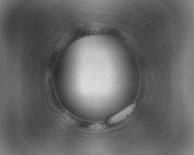 X0000054390225200508121641