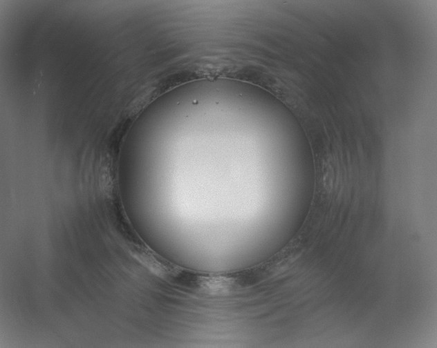 X0000054390226200508121641