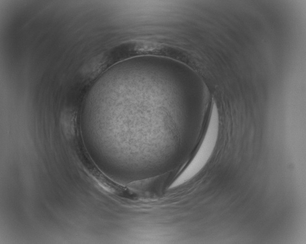 X0000054390227200508121641