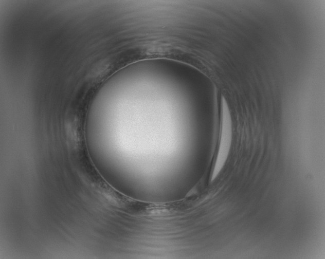 X0000054390228200508121641