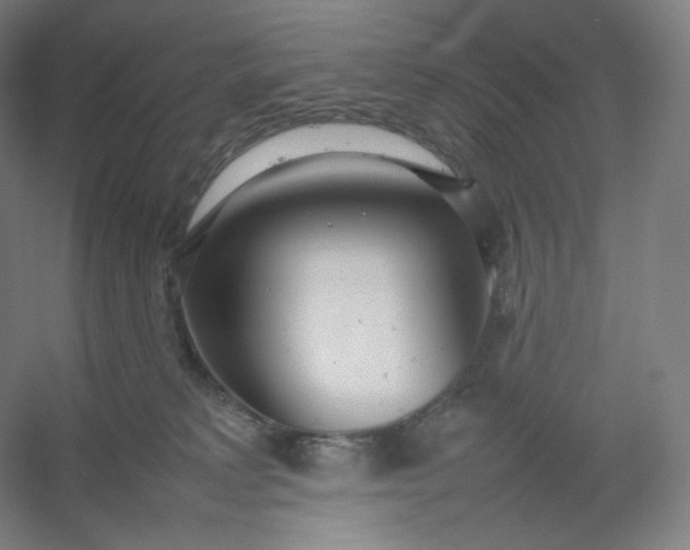 X0000054390229200508121641