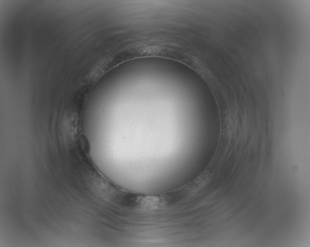 X0000054390230200508121641