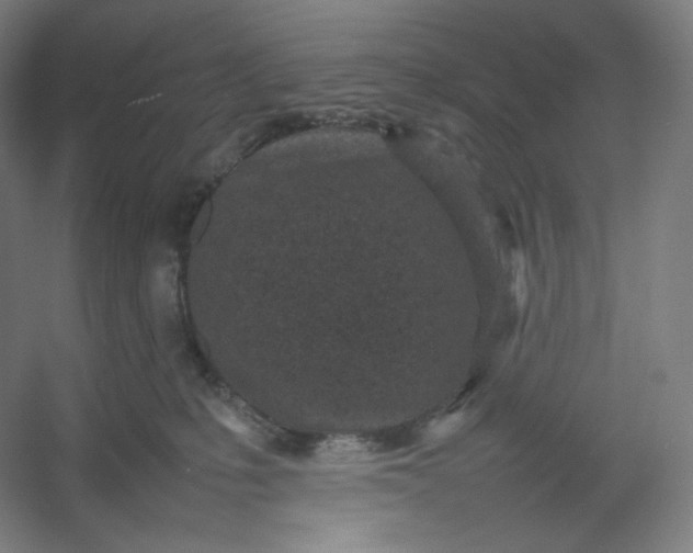 X0000054390231200508121641