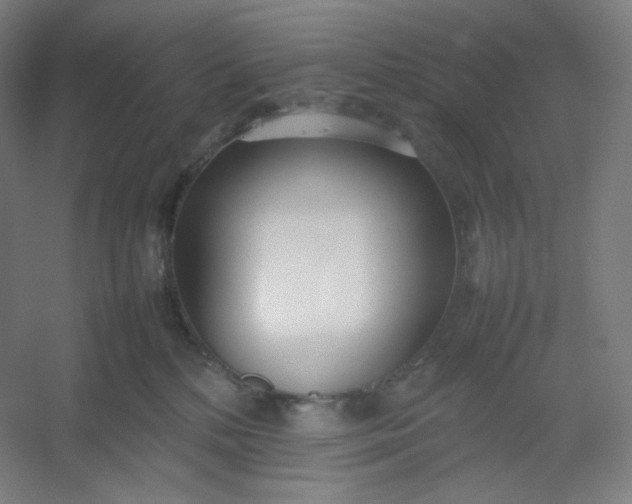 X0000054390232200508121641