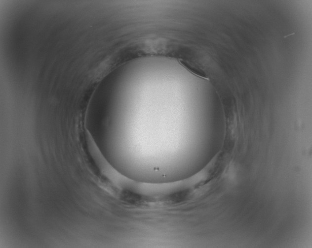 X0000054390233200508121641