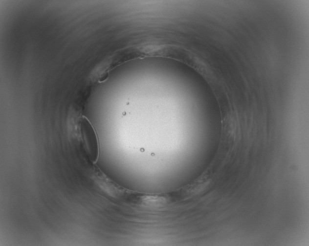 X0000054390234200508121641