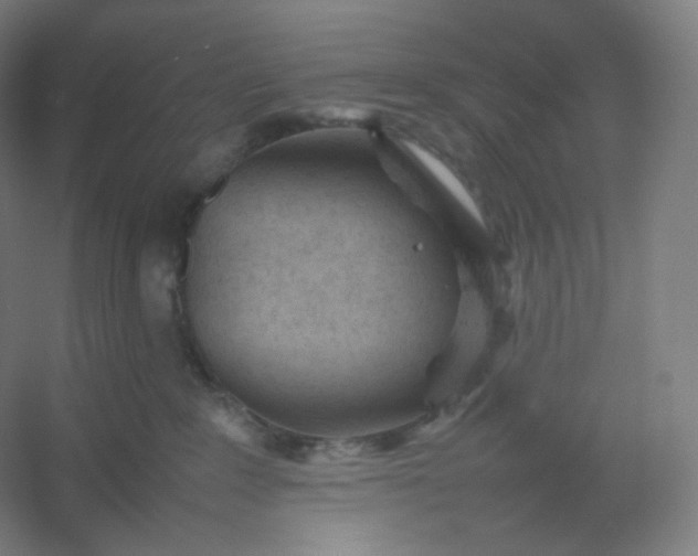 X0000054390235200508121641