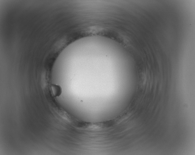 X0000054390236200508121641