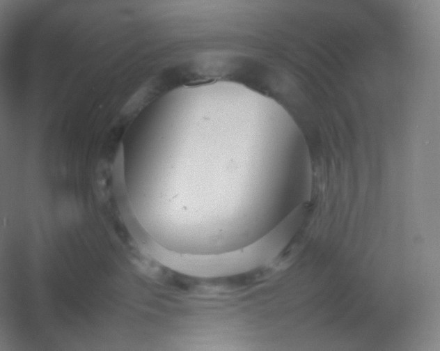 X0000054390237200508121641