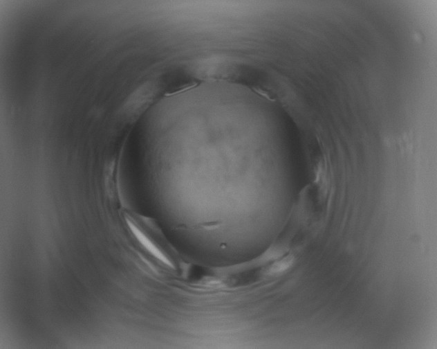 X0000054390239200508121641