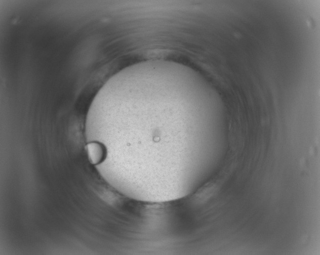 X0000054390240200508121641