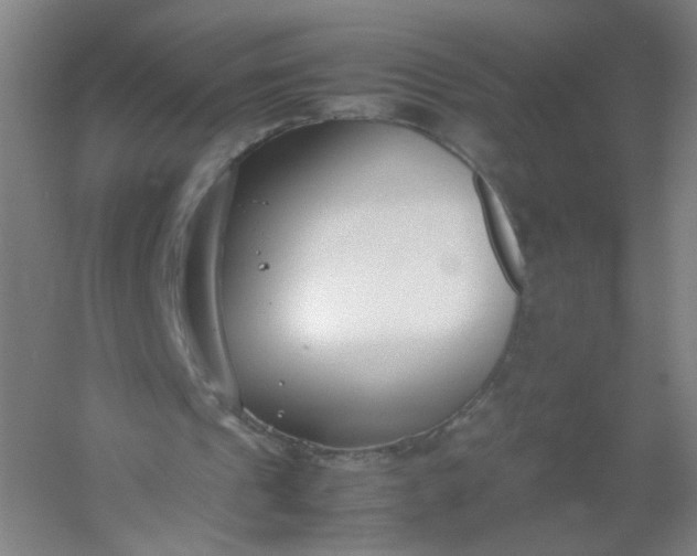 X0000054390241200508121640