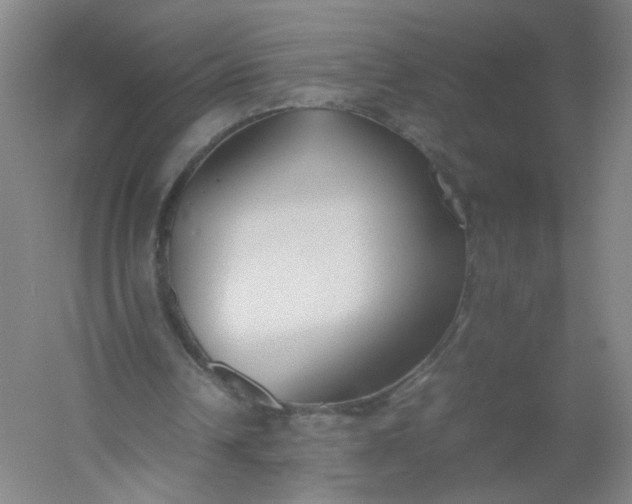 X0000054390242200508121640