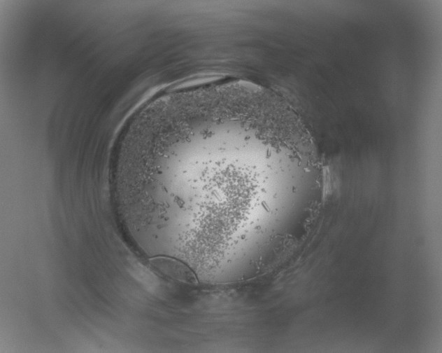 X0000054390243200508121640