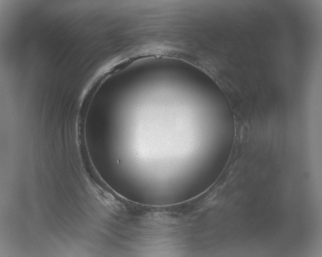 X0000054390244200508121640