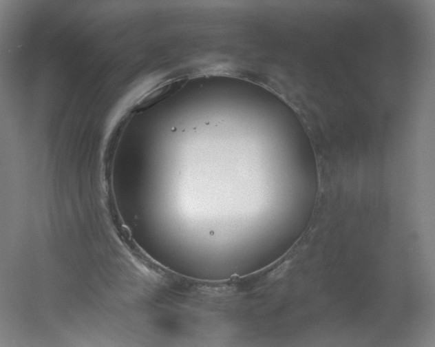 X0000054390245200508121640