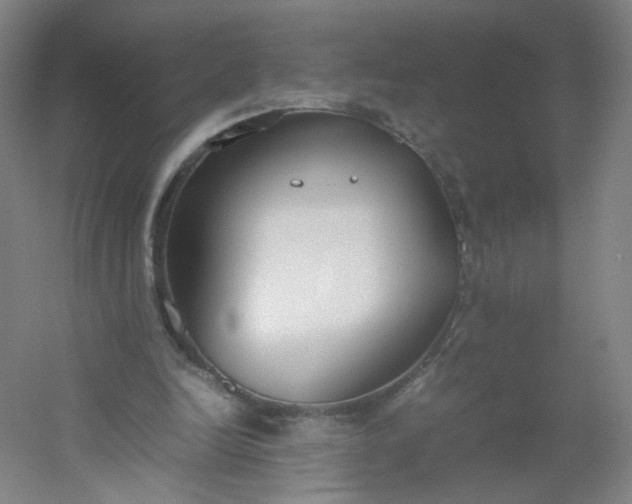 X0000054390246200508121640