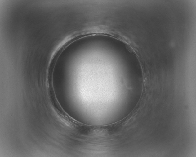 X0000054390248200508121640