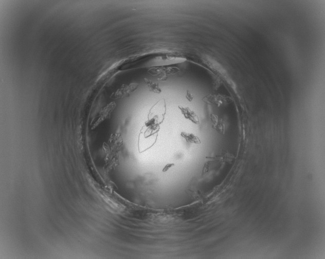 X0000054390249200508121640