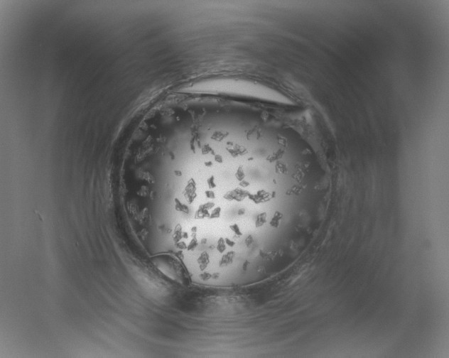 X0000054390250200508121640