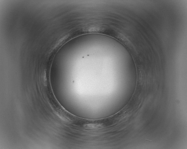 X0000054390251200508121640