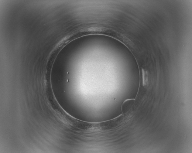 X0000054390252200508121640