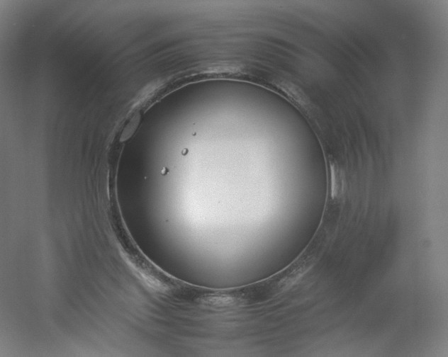 X0000054390253200508121640