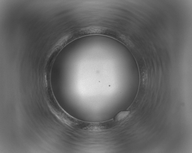 X0000054390254200508121640