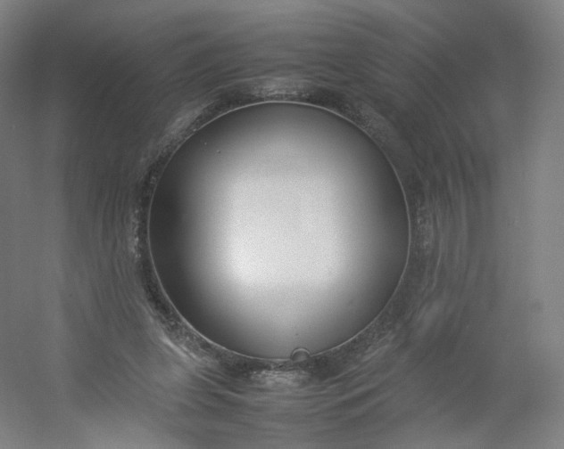 X0000054390255200508121640