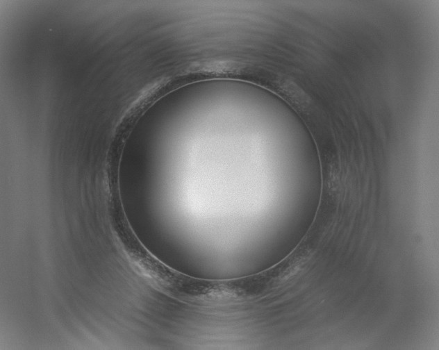 X0000054390256200508121640