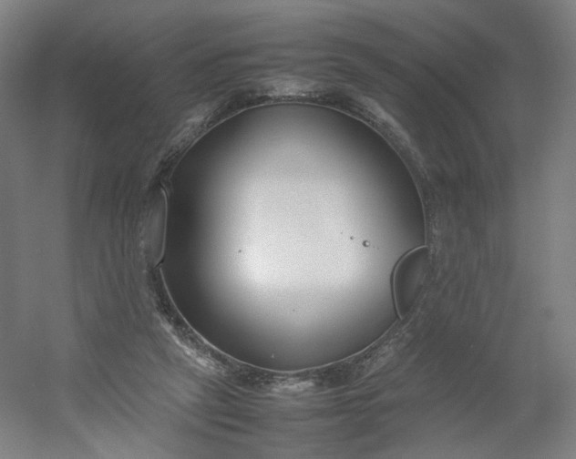 X0000054390257200508121640