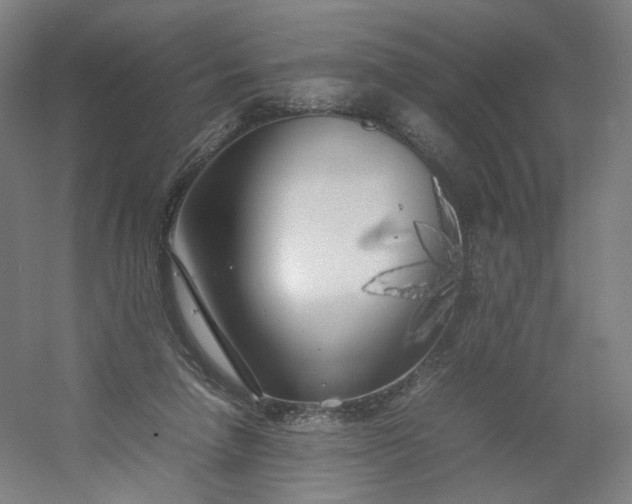 X0000054390258200508121640