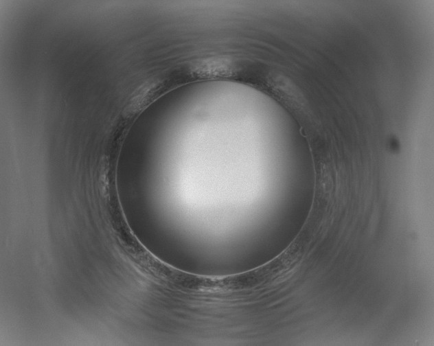 X0000054390259200508121640