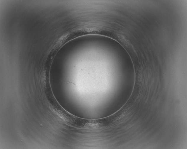 X0000054390260200508121640