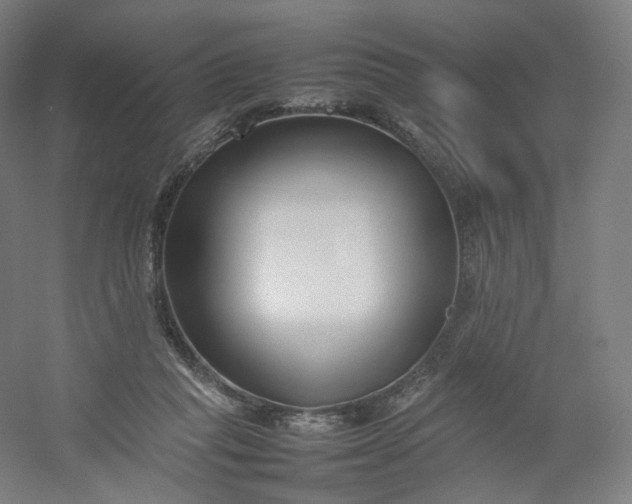 X0000054390261200508121640