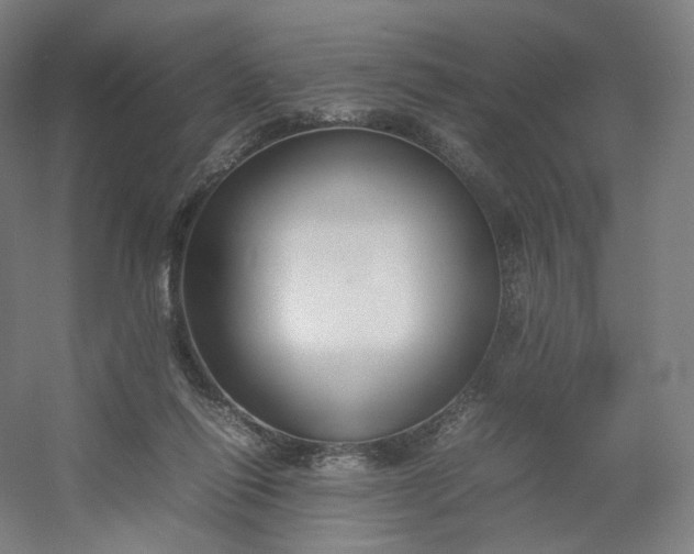 X0000054390262200508121640