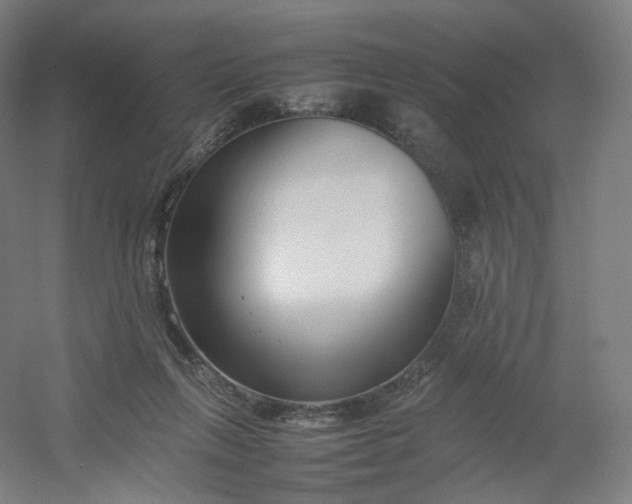 X0000054390263200508121640