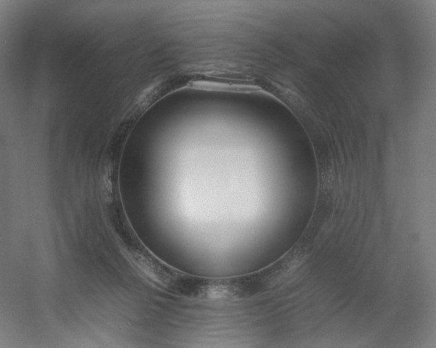 X0000054390264200508121640