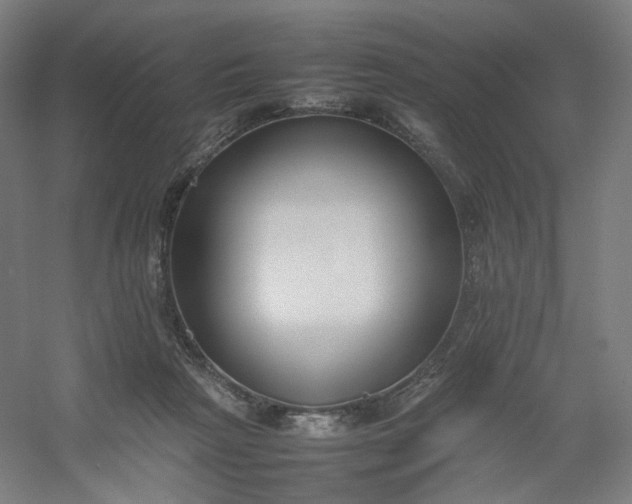 X0000054390265200508121640