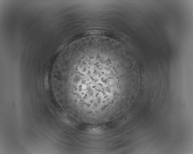 X0000054390267200508121640