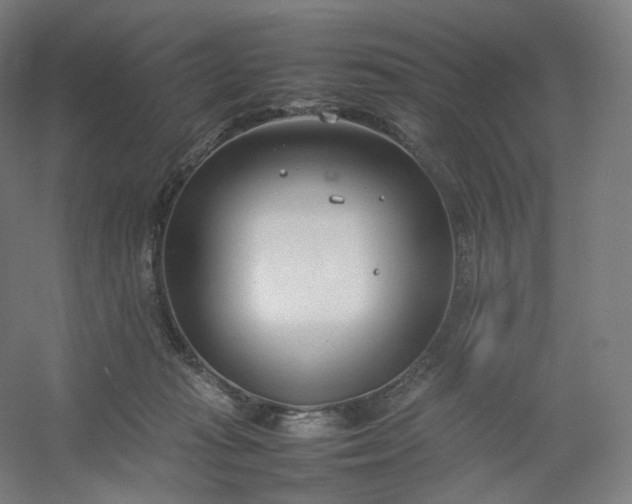 X0000054390269200508121640