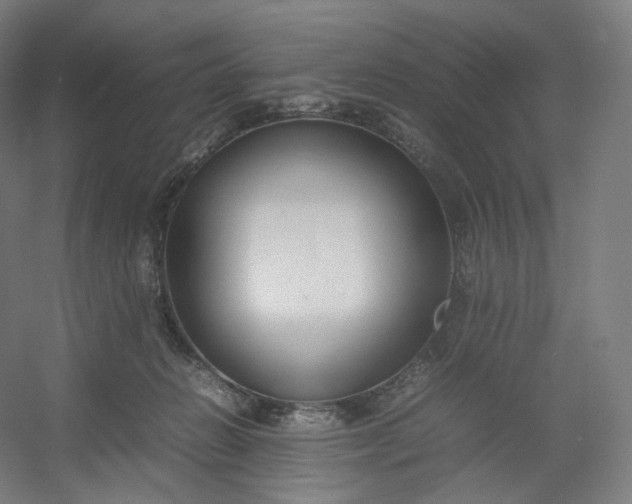 X0000054390270200508121640